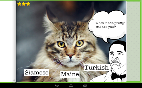 How to mod Cat Memes & Breeds Game 1.6.2 mod apk for pc