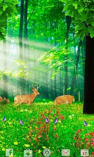 How to get LOST IN THE FOREST LW Free 1.2 mod apk for bluestacks