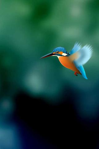 Kingfisher LiveWallpaper Trial