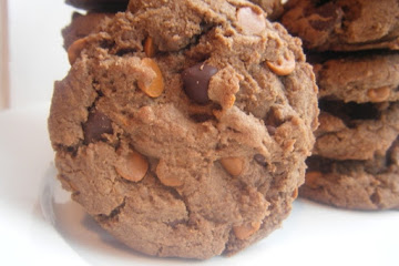 Double Chocolate Fudge Cinnamon Cookies