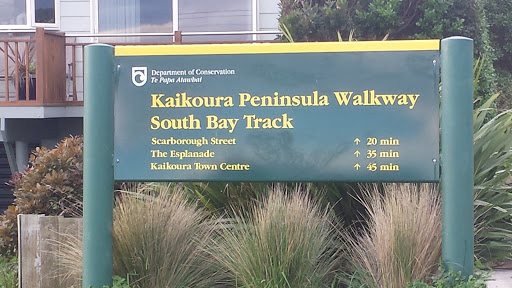 Kiakoura Peninsula Walkway South Bay Track