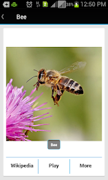 Animal Sound & Photos for Kids poster 6