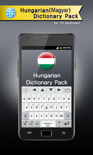 Hungarian for TS Keyboard