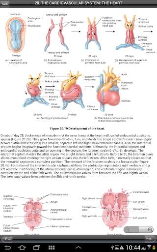 【免費醫療App】Anatomy and Physiology-APP點子