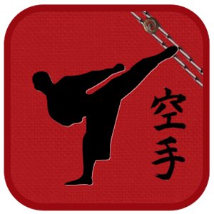 Shotokan karate in the pocket logo