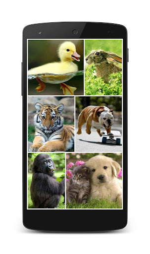 Puzzlera Animals