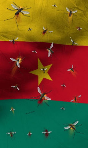 免費下載個人化APP|Cameroon flag Free app開箱文|APP開箱王