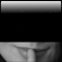 Five Secrets Pro