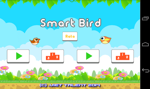 Smart Bird