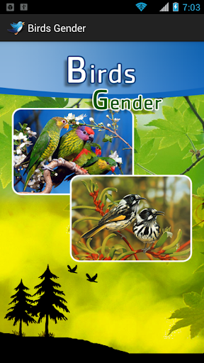 Birds Gender with Ringtone