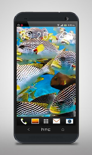 免費下載個人化APP|Flock of Colorful Fish Live WP app開箱文|APP開箱王