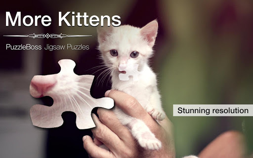 More Kitten Jigsaw Puzzles