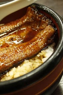 Download Eel as food Puzzle APK