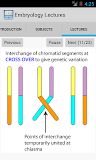 Embryology Lectures