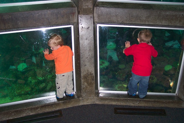 [Sea Aquarium April 2007 (15)[8].jpg]