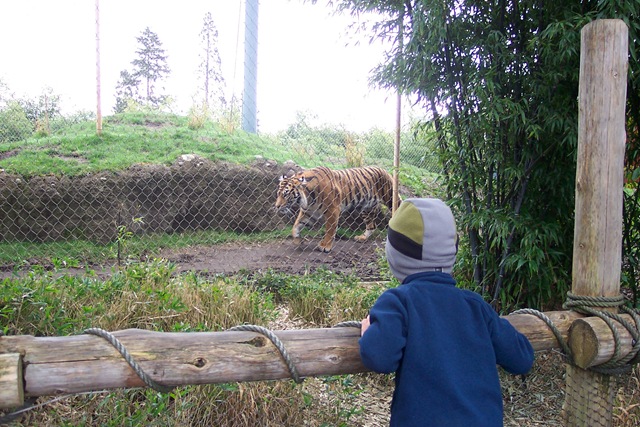 [Zoo With Buys Spring 2007 (9)[2].jpg]