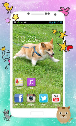 【免費個人化App】Cute Corgi wallpaper 2015-APP點子