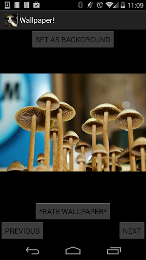 Shrooms Live Wallpaper Trippy