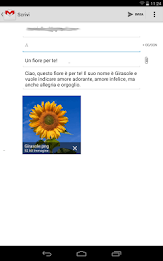 Blumy - Linguaggio dei fiori poster 12