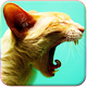 Kedi Sesleri APK