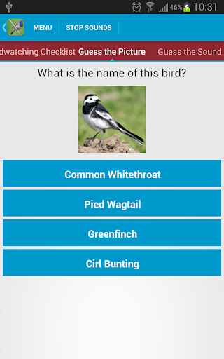UK Birds Sounds  screenshots 4