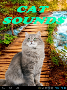 How to download Cat Sounds 1.5 mod apk for laptop