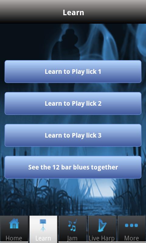 Hohner Learn to Play the Blues Screen 2