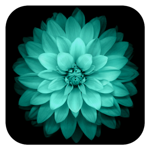 Galaxy Flowers Live Wallpaper logo
