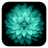 Galaxy Flowers Live Wallpaper1.8