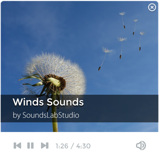 Natural Wind Sounds