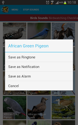 【免費教育App】African Birds Sounds-APP點子