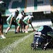 Coritiba Crocodiles
