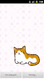 にゃんころライブ