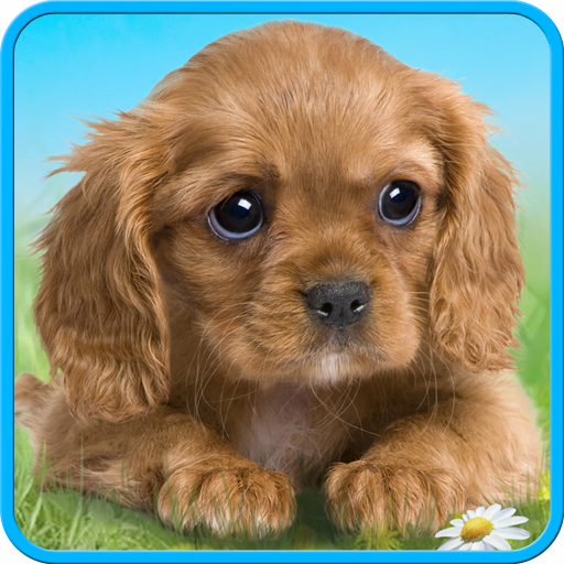 Talking puppy LOGO-APP點子