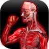 Anatomy Muscles icon