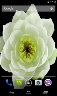 Flowers Video Live Wallpaper(圖5)-速報App