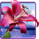 Cover Image of Download Flowers. Magic Touch Wallpaper 1.0.6 APK