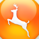 New York Hunting Guide