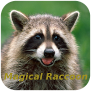 Magical Raccoon  Icon
