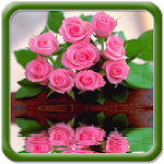 Beautiful Pink Flowers Apk