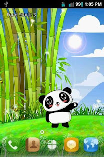 Panda Pet Live Wallpaper Free(圖1)-速報App