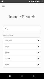 Image Search - ImageSearchMan 1