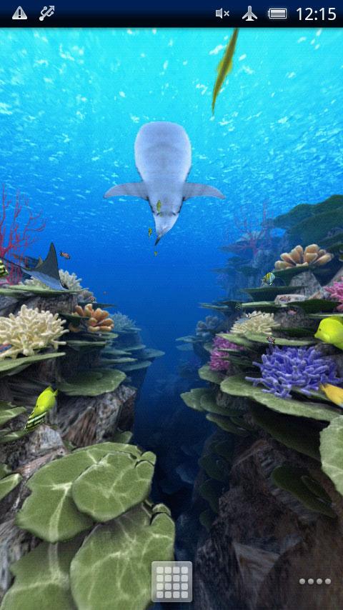 Coral Reef of Kerama Screen 2