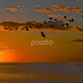 Bread and dreams by Silvia Mininni - Landscapes Sunsets & Sunrises