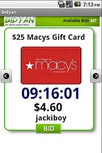 Penny Auction Screenshots 3