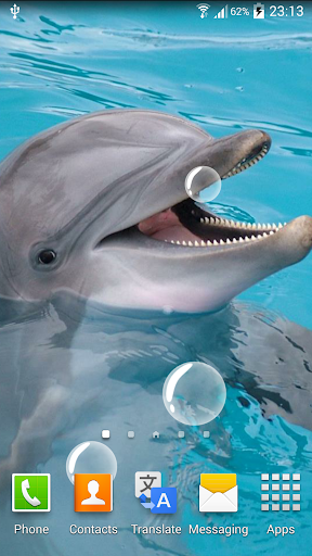 Dolphin Live Wallpaper