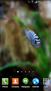 Fish Live Wallpaper HD Screen 2