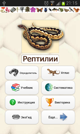 EcoGuide: Russian Reptiles