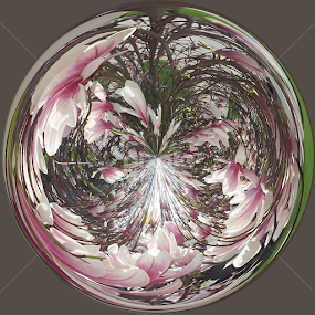 Pink Blossom Tree by Colleen Legree - Abstract Fine Art