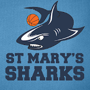 St Marys Sharks Basketball  Icon